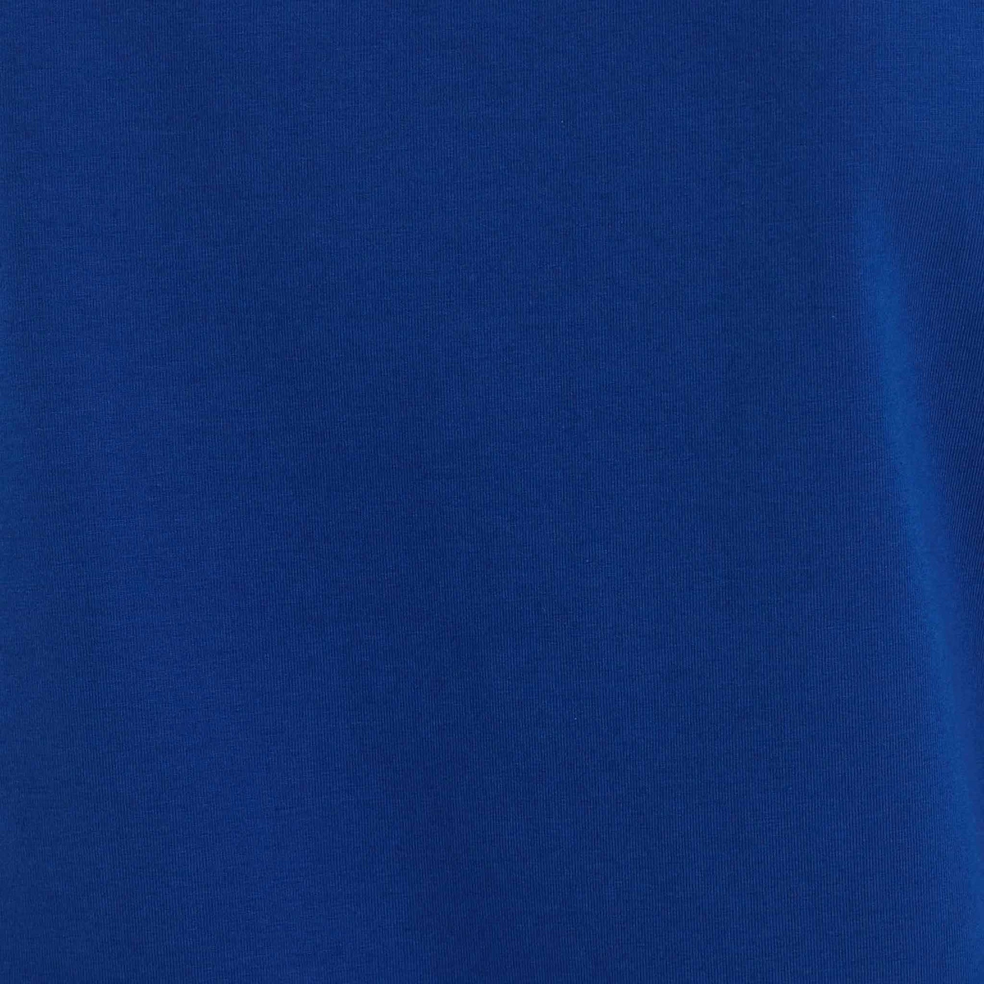 French Blue Swatch